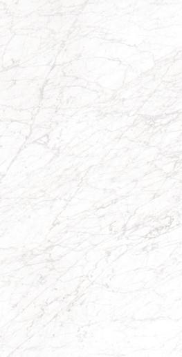 Carrara Mat 60x120
