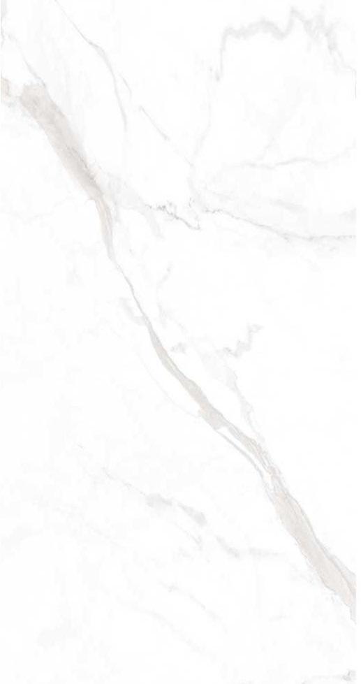 Statuario Matt 60x120