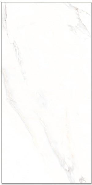 CALACATTA WHITE POLISHED RECTIFIED