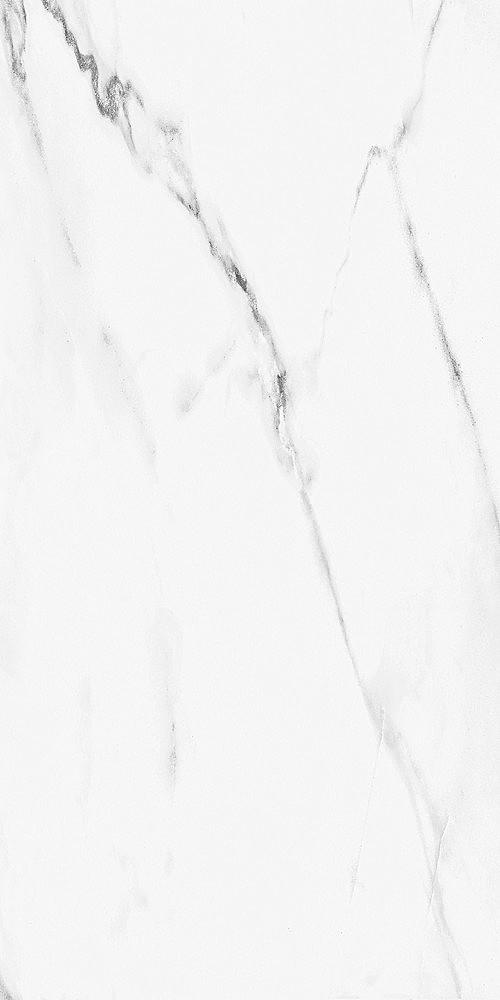 CARRARA WHITE POL -X 60x120