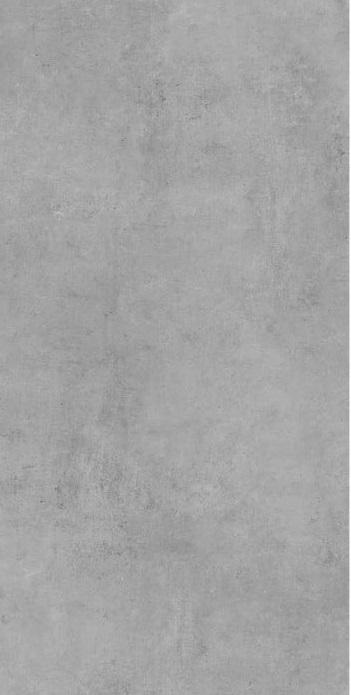 Ark Silver 60x120