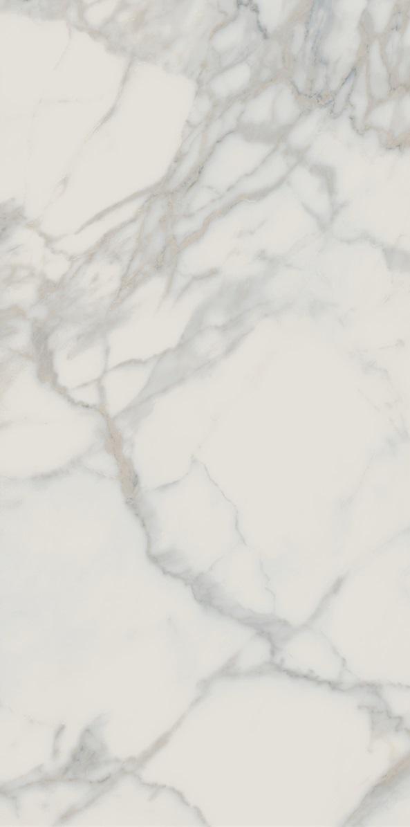 STATUARIO MATTE 60X120 -X