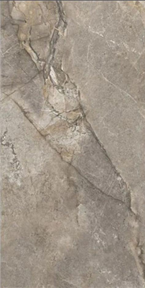 FIORI DI BOSCO GREY POL -X 60x120