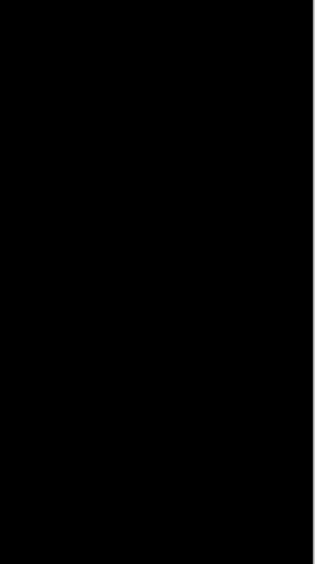 KSF THURNER BLACK 100X300 3MM FIT
